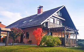 Apartments Janjusevic